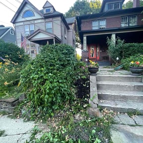 Bush Trimming by Green space reviewed on May 19, 2025