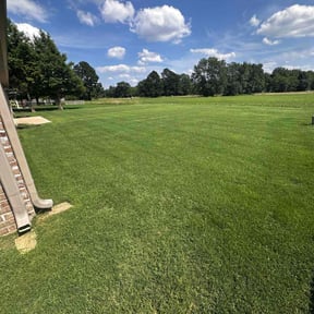 landscaping services by Ground Aesthetics reviewed on December 2, 2025