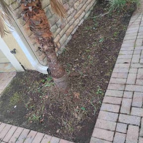 Flower Bed Weeding by Harry&#039;s Champion Landscaping reviewed on October 19, 2025