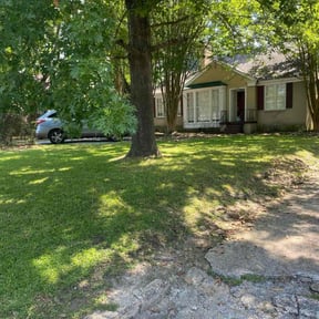 yard service by Central Property Maintenance reviewed on November 19, 2025