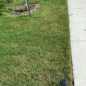 turf care by Mowing Maxx Lawn Care Services reviewed on August 1, 2025