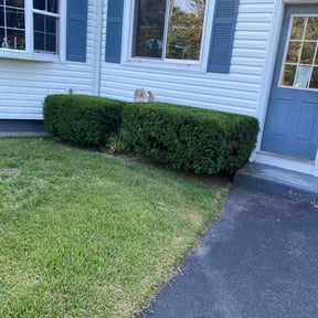 Bush Trimming by GarcÃa-G lawn care service LLC reviewed on August 18, 2025
