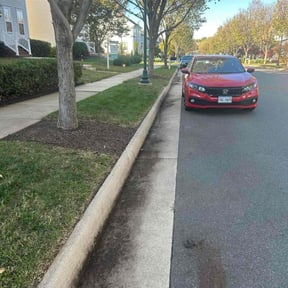 Leaf Removal by Skiptomylou reviewed on November 7, 2025