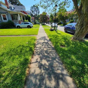 landscaping services by Use more services reviewed on August 21, 2025