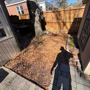 Leaf Removal by DaliaRosa reviewed on March 13, 2026