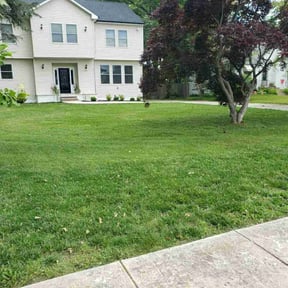 yard care by Green Horizon Lawn Care reviewed on September 14, 2025