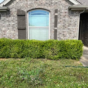Bush Trimming by E-5 Lawn Services reviewed on June 3, 2026