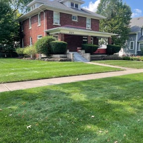 turf care by Jack Catlin reviewed on August 18, 2025