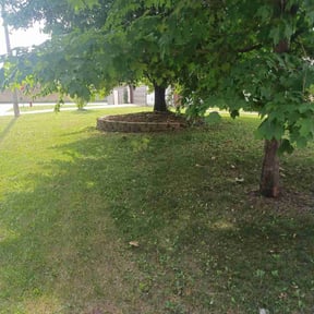 Flower Bed Weeding by Polish up reviewed on August 14, 2025
