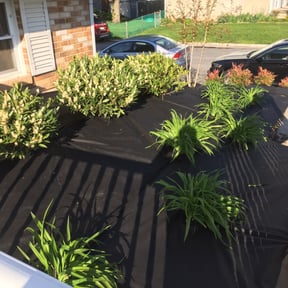 Flower Bed Weeding by Fugit Lawn Care LLC reviewed on August 18, 2025