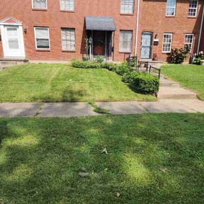 Bush Trimming by Krenik Lawn Services reviewed on July 24, 2026