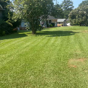 grass cutting by Golden Lion&#039;s reviewed on April 22, 2024