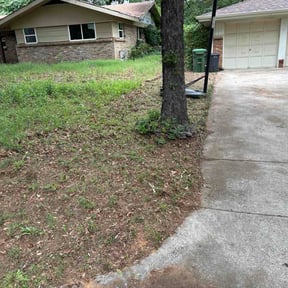 Leaf Removal by Elite Ground Management LLC reviewed on June 20, 2026