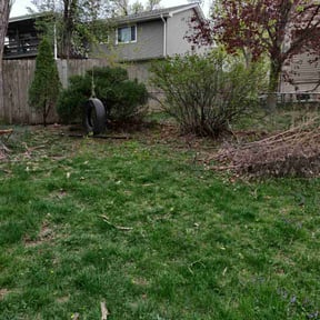 Bush Trimming by Troy's Lawn Care reviewed on August 21, 2025