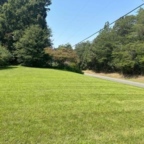 landscaping services by Ball Lawn Care LLC reviewed on August 20, 2025