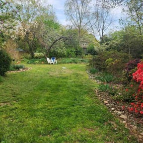 yard care by Brandonβs property services reviewed on August 15, 2025
