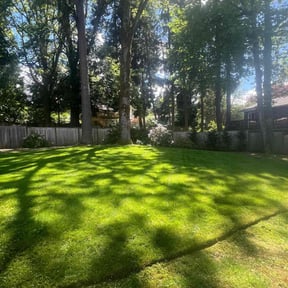 landscaping services by Var Landscape reviewed on August 16, 2025