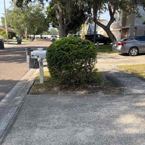 Bush Trimming by 121Successful solutions reviewed on August 21, 2025