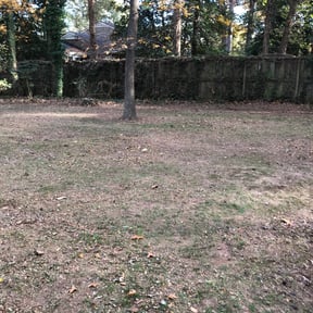 Leaf Removal by Imperial Lawn Care reviewed on September 13, 2025