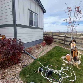 Bush Trimming by Bigshotlawns reviewed on November 20, 2025