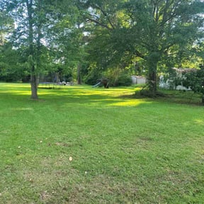 residential landscaping by Classic green cuts reviewed on August 18, 2025