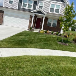 landscape maintenance by NXTLVL reviewed on August 18, 2025