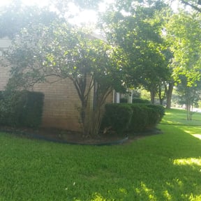 Bush Trimming by Homes Based Services reviewed on August 21, 2025