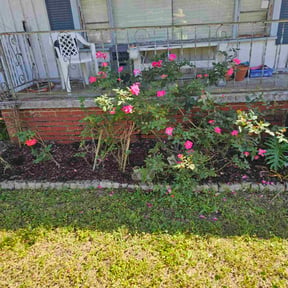 Flower Bed Weeding by Brothers landscaping reviewed on April 9, 2026