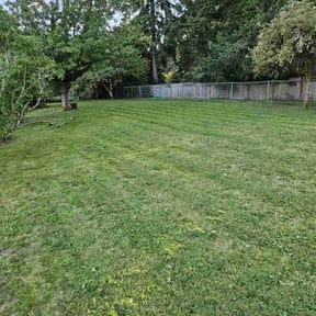 grass cutting by S.m.a.r.r.t. Enterprises reviewed on November 22, 2023