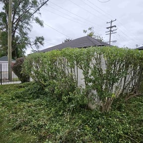 Bush Trimming by Vanlandingham Lawn Care & Services reviewed on August 17, 2025