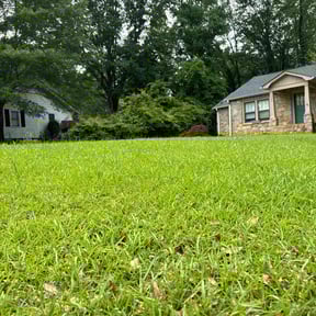 landscaping services by The Shaquille Davis Group llc. reviewed on November 20, 2025