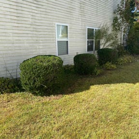 Bush Trimming by OC Lawncare reviewed on November 6, 2025