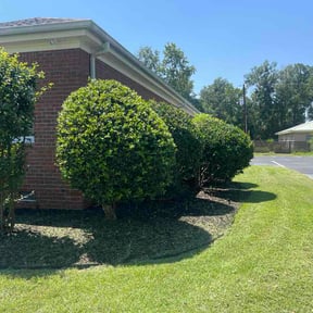 Bush Trimming by Towery's Lawn Care reviewed on August 23, 2026