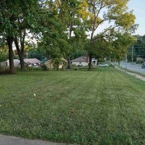 lawn service by All Around the House Services reviewed on March 11, 2024