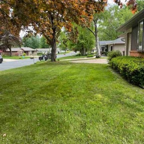 turf care by Newpensioninvestors.Inc reviewed on May 10, 2024