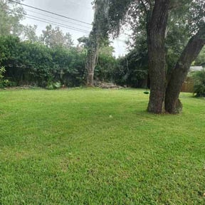 turf care by Bestway Lawn Care reviewed on September 13, 2023