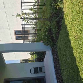 Bush Trimming by real lawn service reviewed on July 29, 2022