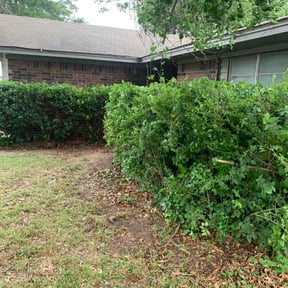 Bush Trimming by La Costa Irrigation & Landscaping LLC reviewed on August 20, 2025