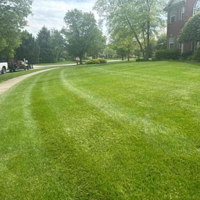 yard work by Kingsmen Lawn Service reviewed on November 20, 2025