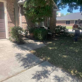 Bush Trimming by Ball Lawncare LLC reviewed on May 1, 2026