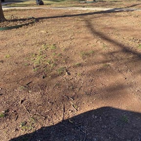 Leaf Removal by Rick's Mowing Services reviewed on March 31, 2026