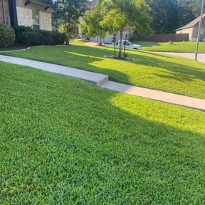 landscaping by Diego's Lawn Care reviewed on June 24, 2025