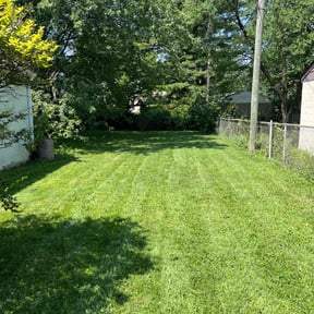 yard care by Chris Wimler reviewed on December 10, 2025