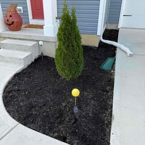 Flower Bed Weeding by House Perfect reviewed on October 19, 2025