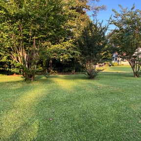 yard work by Trim it up landscaping llc reviewed on August 17, 2025
