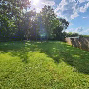 landscaping services by GreenCut Lawn Care reviewed on August 18, 2025