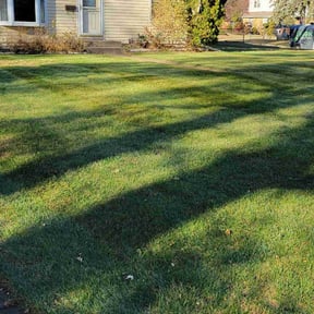 Leaf Removal by Paul Ney reviewed on November 20, 2025