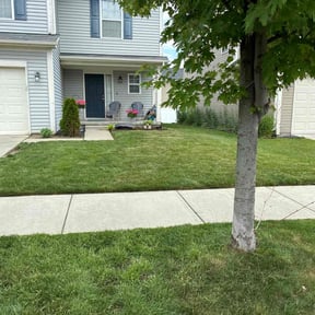 lawn maintenance by Doyle Land Systems reviewed on November 9, 2017