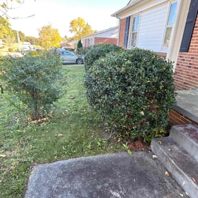 Bush Trimming by Guerrero&#039;s Lawn Service reviewed on October 23, 2025