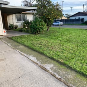 Leaf Removal by Light year services reviewed on August 17, 2025